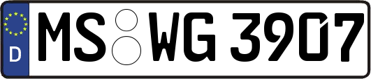 MS-WG3907