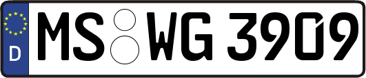 MS-WG3909