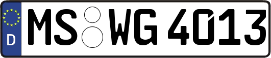 MS-WG4013