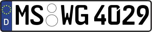 MS-WG4029