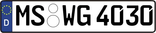 MS-WG4030