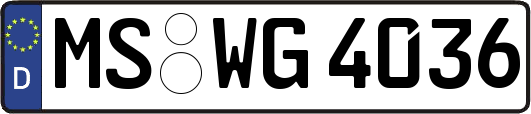 MS-WG4036