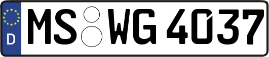 MS-WG4037