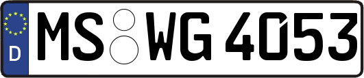 MS-WG4053