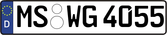 MS-WG4055