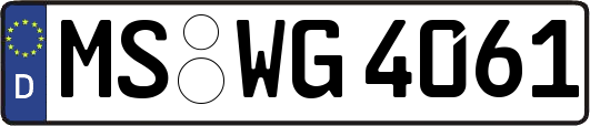 MS-WG4061