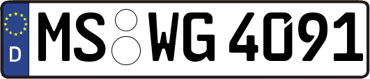 MS-WG4091