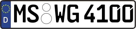 MS-WG4100
