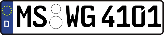 MS-WG4101
