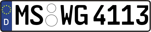 MS-WG4113