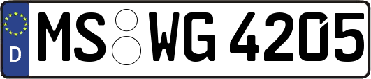 MS-WG4205