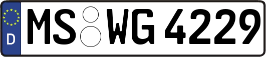 MS-WG4229