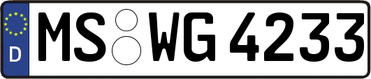 MS-WG4233