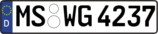 MS-WG4237