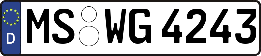 MS-WG4243