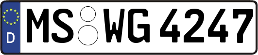 MS-WG4247