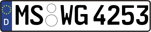 MS-WG4253