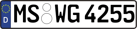 MS-WG4255