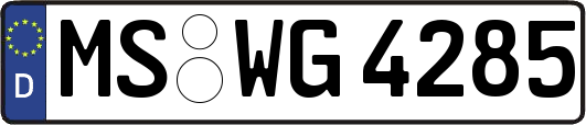 MS-WG4285