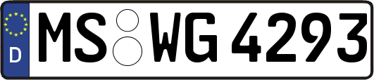 MS-WG4293