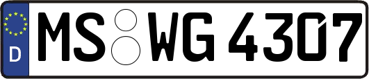 MS-WG4307