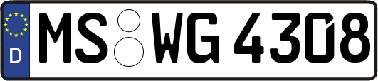 MS-WG4308