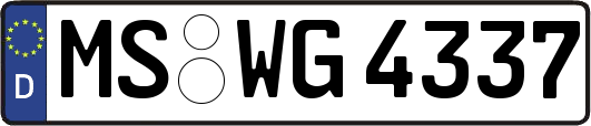MS-WG4337