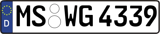 MS-WG4339