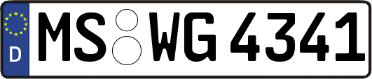 MS-WG4341
