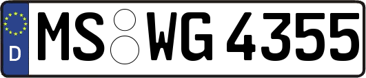MS-WG4355