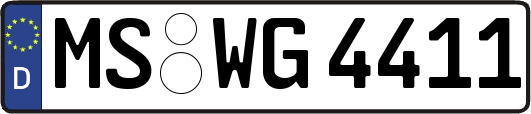 MS-WG4411
