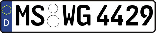 MS-WG4429
