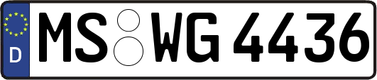 MS-WG4436
