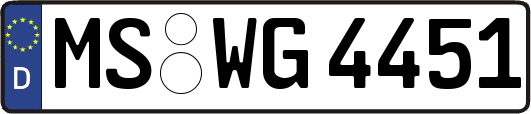 MS-WG4451