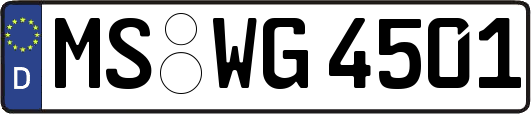 MS-WG4501