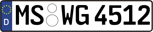 MS-WG4512