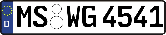 MS-WG4541