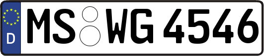 MS-WG4546