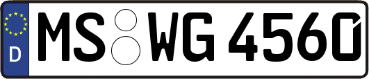 MS-WG4560