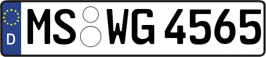 MS-WG4565