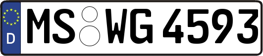 MS-WG4593