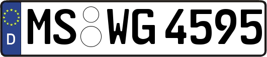 MS-WG4595