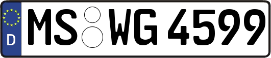 MS-WG4599