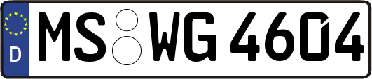 MS-WG4604