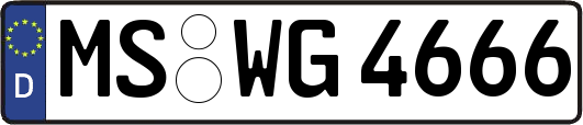 MS-WG4666