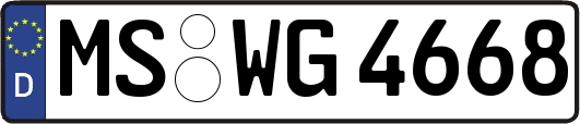 MS-WG4668