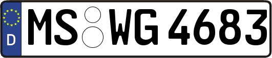 MS-WG4683