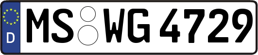 MS-WG4729