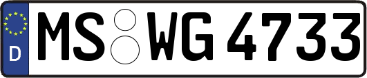 MS-WG4733