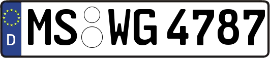 MS-WG4787